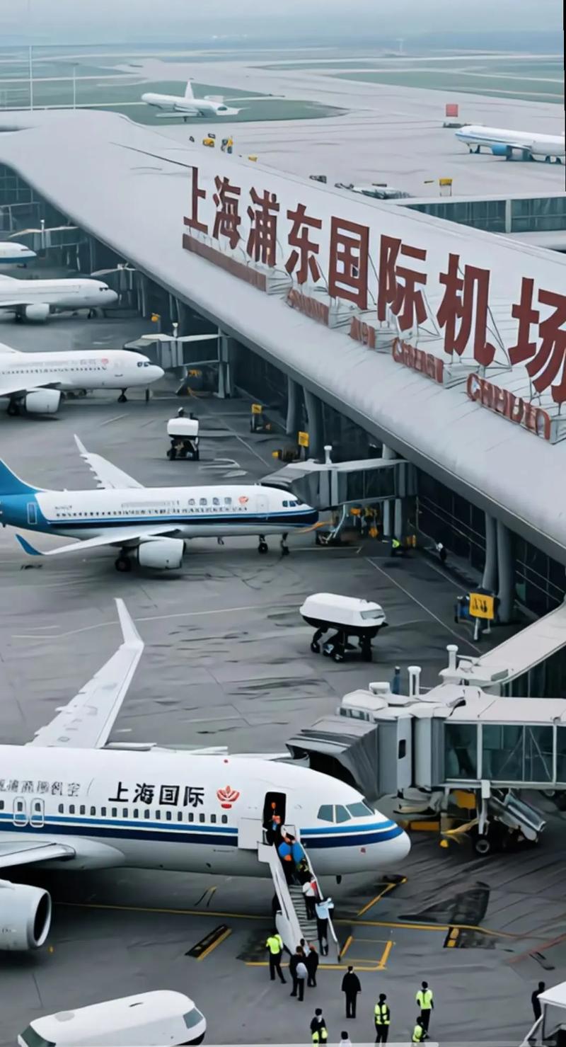 上海机场招聘 —— 上海浦东国际机场协勤招聘